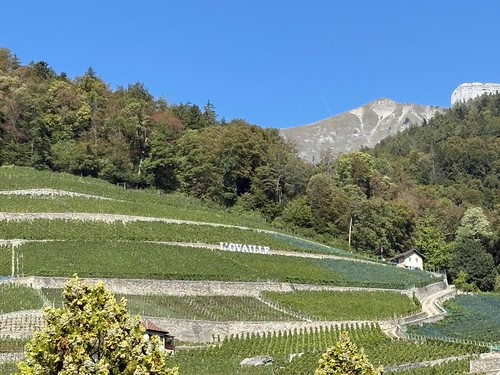Vereinsreise 2026 - Simmental