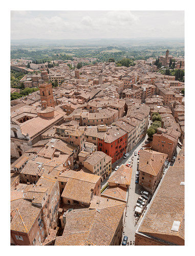 Siena, from the Torre del Mangia