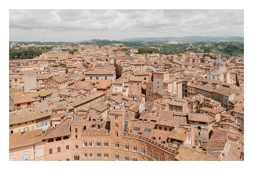 Siena, from the Torre del Mangia