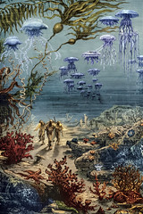 “A walk under the waters” from “Twenty Thousand Leagues Under the Seas” by Jules Verne (1873, 2nd U.S. edition).