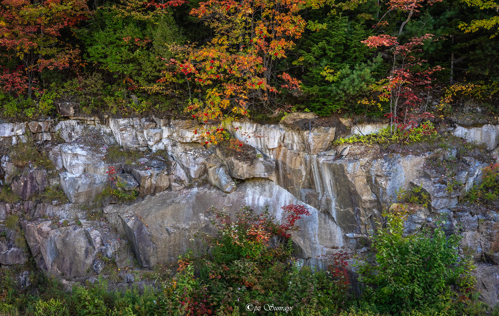 A rock cutting rises beside the highway, with a smaller band of green and changing trees above it. The scene gives roadside context before the more colorful October views.