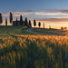 revitalizing sunrise