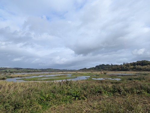 Lochwinnoch