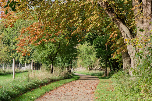Autumn in Smørmosen