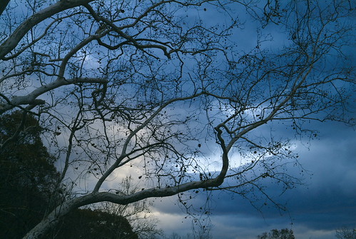 The Sky