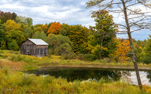 Pond & Barn, Montpelier, Vermont | by R. Braley
