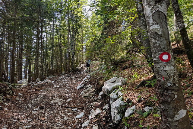 Vogar Blato Walk - Stara Fuzina, Bohinj, Slovenia