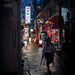 A night after the rain