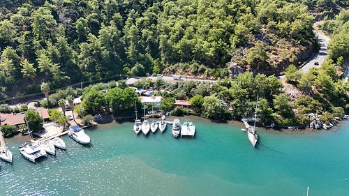 Orhaniye