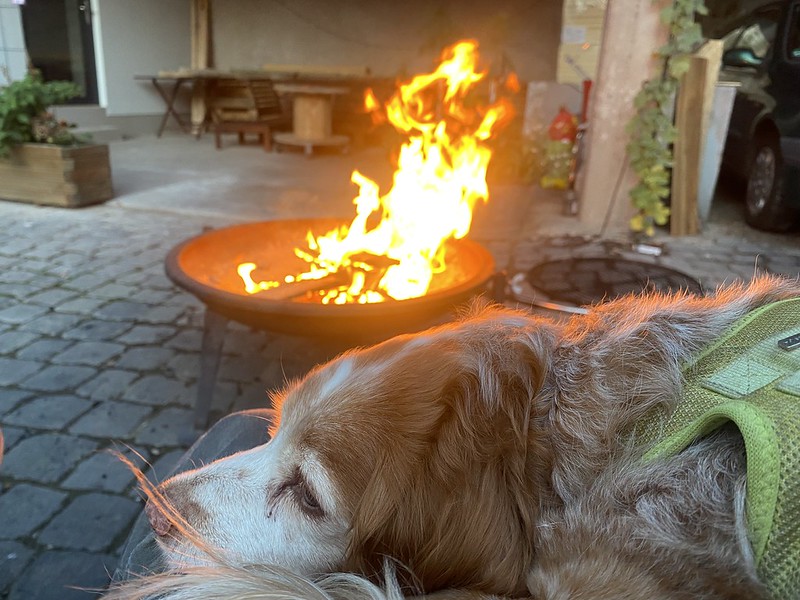 File Attachment: