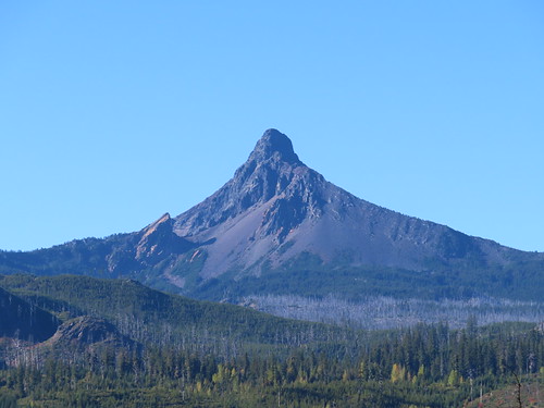 Mt Washington
