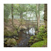 			<p><a href="https://www.flickr.com/people/30071959@N07/">Paul Newcombe</a> posted a photo:</p>
	
<p><a href="https://www.flickr.com/photos/30071959@N07/55567342512/" title="Padley Bridge"><img src="https://live.staticflickr.com/65535/55567342512_ded083ea5b_m.jpg" width="240" height="240" alt="Padley Bridge" /></a></p>

<p><b>Padley Gorge, Peak District, UK</b><br />
<br />
© 2026 Paul Newcombe. Don't use without permission.<br />
<br />
A couple of weeks ago I took this snap of the lovely bridge at Padley Gorge. I now wish I'd spent more time and took a few steps to the left so the shapely tree in the background fits in the V of the foreground trees..<br />
<br />
I bumped into Nigel D here in March and he mentioned there was a new piece of wood on the bridge. The lower left in this photo. Lookigng more closely, it's not in keeping with the rest of the bridge. It's just a piece of straight 2x4. Shame.</p>
