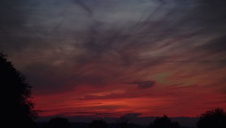 Flickr photo: Am Abend auf der Terrasse vor meinem Fenster; Bergenhusen, Stapelholm (2)
