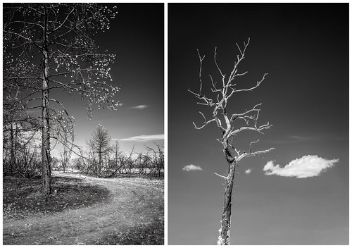_IR03951_IR_780_diptyque