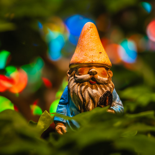 20261003-_P6A0307 Gnome | by donalols