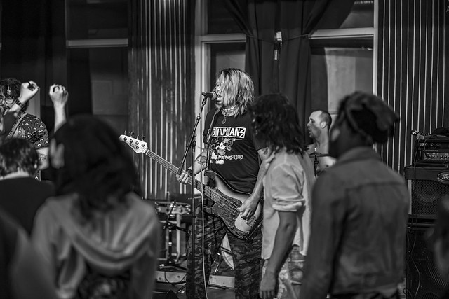 The Back Table - Punk for Palestine