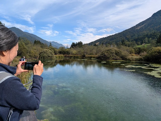 Zelenci Natural Reserve - near Kranjska Gora, Julian Alps, Slovenia