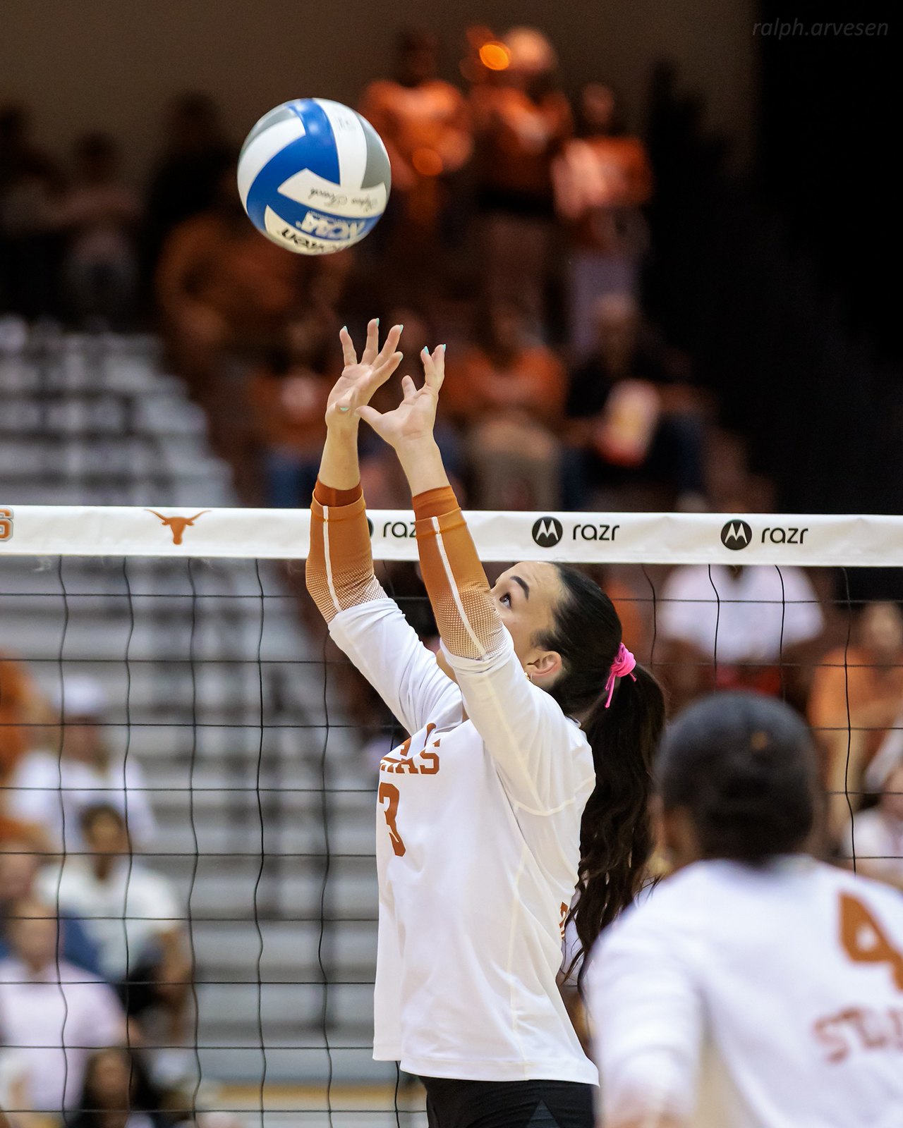 Texas Volleyball Texas Volleyball