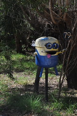 15363 DSC_0020 Mail box