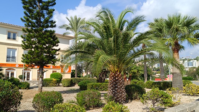 IMG_20261004_112257