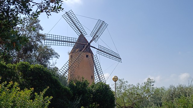 IMG_20261004_111344