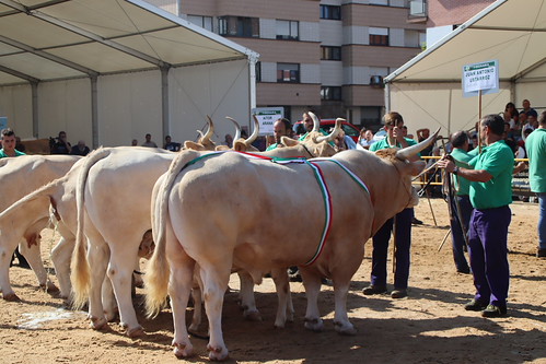 urriko lehen astelehena (54)