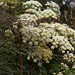 2026 09 05 - contrasts