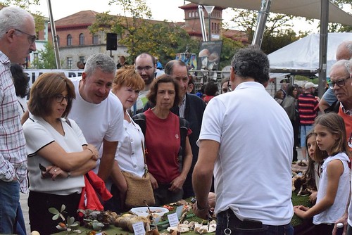 Perretxiko jaia Loiolan 2026 (Argazkiak: Nagore Garmendia)