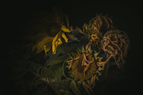 Fall in macro