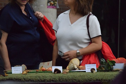 Perretxiko jaia Loiolan 2026 (Argazkiak: Nagore Garmendia)
