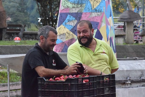 Perretxiko jaia Loiolan 2026 (Argazkiak: Nagore Garmendia)
