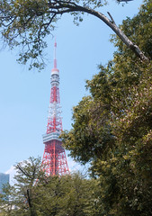 Tokyo tower