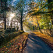 			<p><a href="https://www.flickr.com/people/pbmurray/">lertes</a> posted a photo:</p>
	
<p><a href="https://www.flickr.com/photos/pbmurray/55570520686/" title="A Misty November Morning"><img src="https://live.staticflickr.com/65535/55570520686_af40bdddbc_m.jpg" width="240" height="160" alt="A Misty November Morning" /></a></p>

<p>A misty Autumn morning, Gilltown Stud, Kilcullen, Co. Kildare</p>
