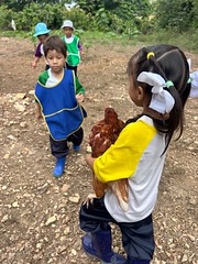 VISITA A LA GRANJA - INICIAL 2