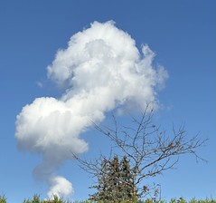 Encore une belle journée ensoleillée avant la pluie