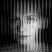 			<p><a href="https://www.flickr.com/people/196207616@N08/">Ondřej Trojan</a> posted a photo:</p>
	
<p><a href="https://www.flickr.com/photos/196207616@N08/55571348448/" title=" "><img src="https://live.staticflickr.com/65535/55571348448_7e9273b459_m.jpg" width="159" height="240" alt=" " /></a></p>


