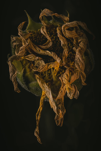 Fall in macro