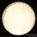 N-2026-10-06-0440_f