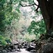 Iao Valley January 2026