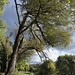 Chenango River