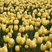Spring Bouquet, 2026