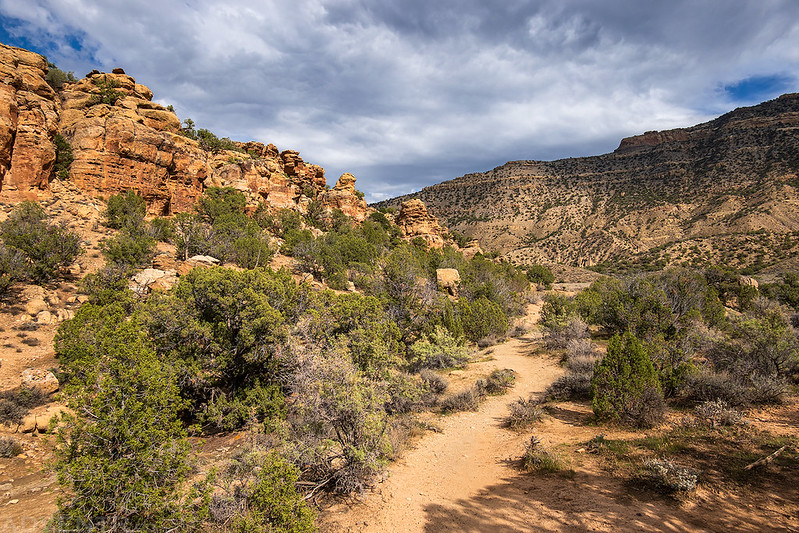 Lower Loop Trail