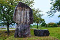 Tankobushi