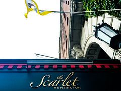 The Scarlet