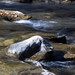 <p><a href="https://www.flickr.com/people/rwethereyet/">D.Spence Photography</a> posted a photo:</p>
<p><a href="https://www.flickr.com/photos/rwethereyet/55572931334/" title="Islands in the stream"><img src="https://live.staticflickr.com/65535/55572931334_ee78aa8ff2_m.jpg" width="192" height="240" alt="Islands in the stream" /></a></p>
<p>Alberta Forestry Trunk Road<br />
2026-10 Bearberry B-D-57</p>