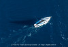 DJI_0080 - 2026 - Pula FD - subota