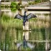 DM26/41 The Angel of the South