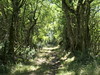le sentier 28 août 2026 15h15min13s
