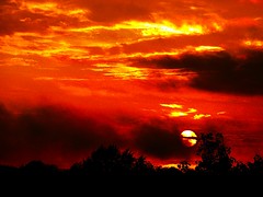 IMG_2715 (2)