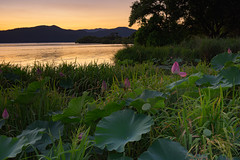 琵琶湖24・Lake Biwa